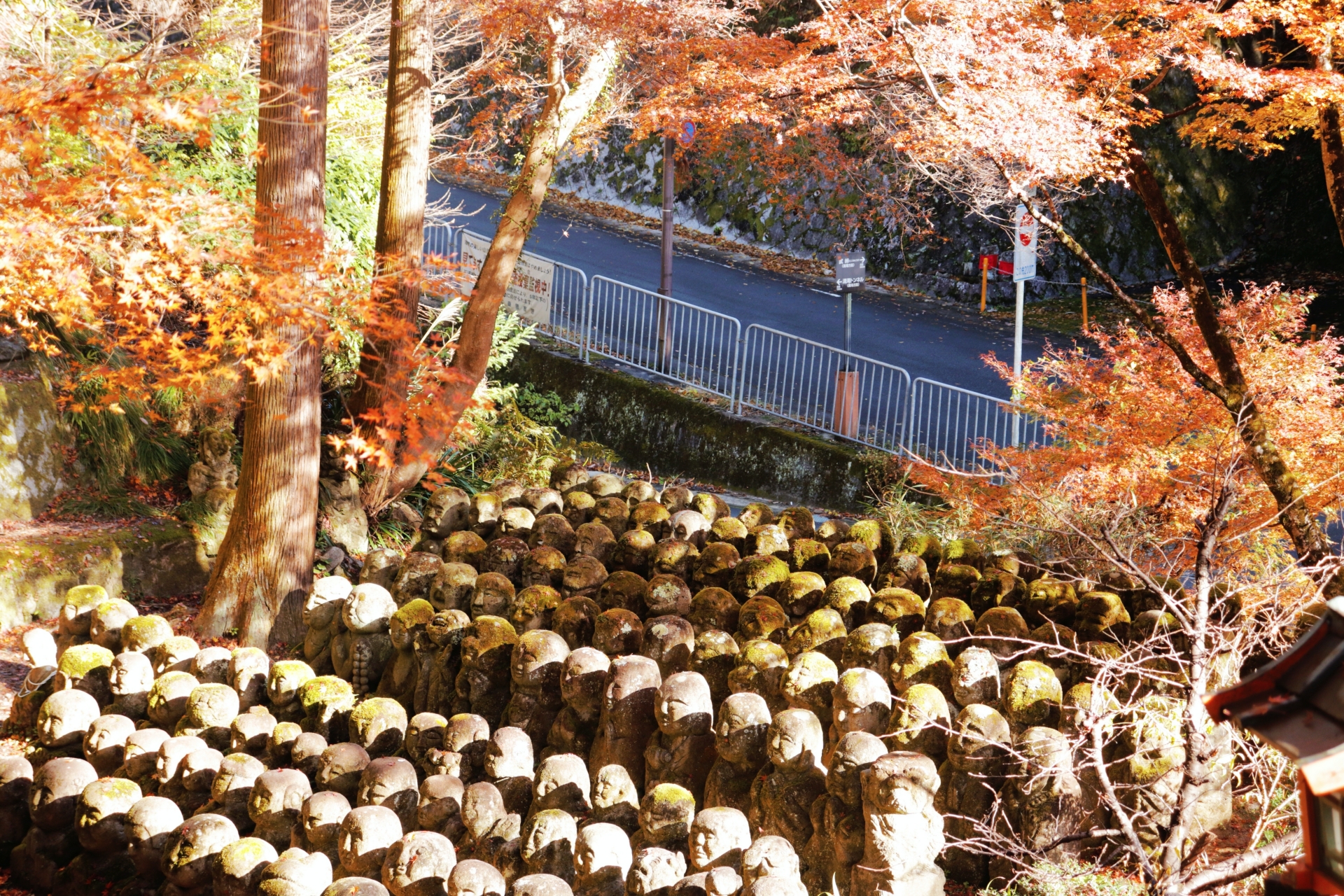 Otagi Nenbutsuji Statues in Autumn