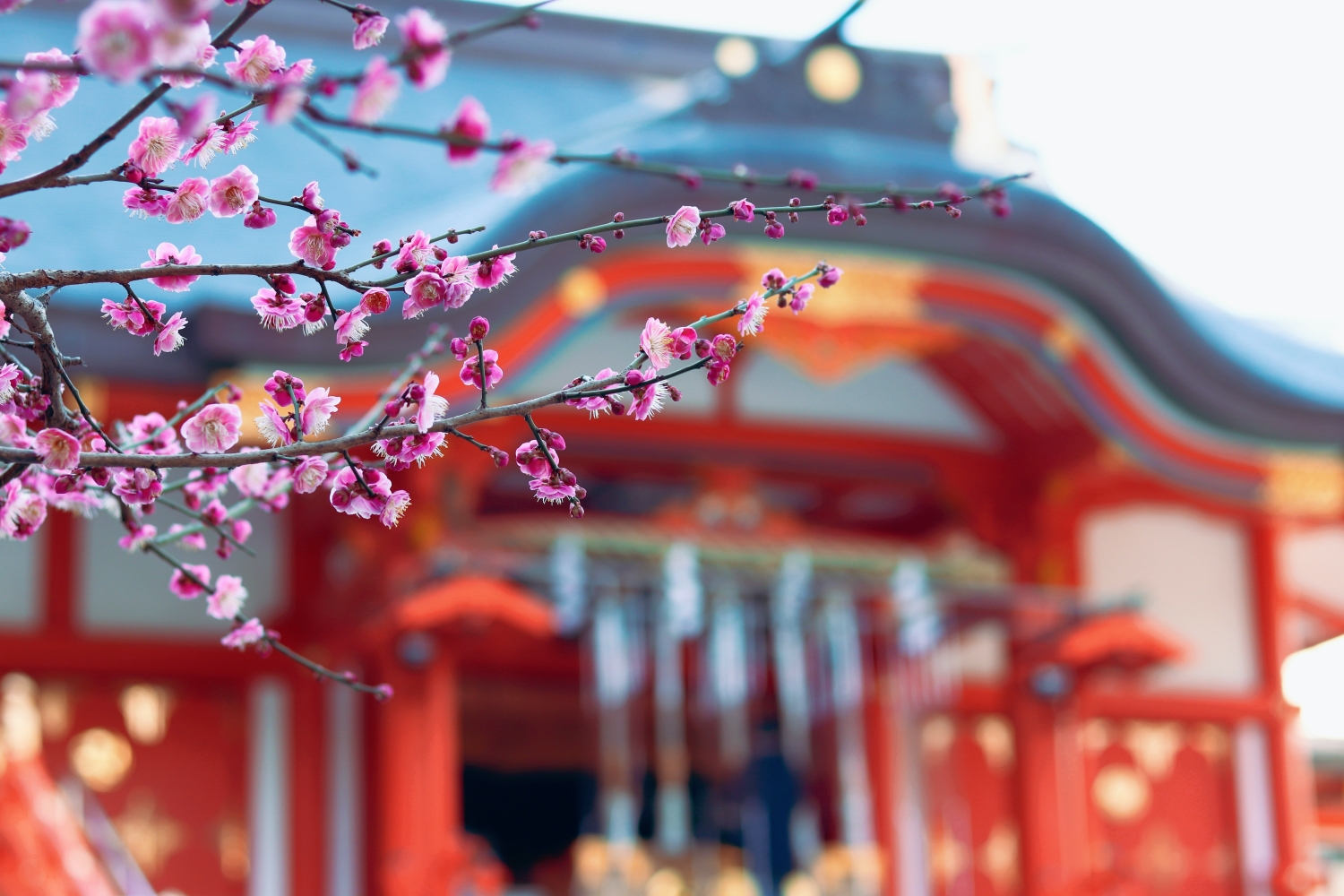 Things to Do in Shinjuku - Hanazono Shrine in Spring