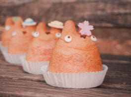 Totoro Cream Puffs lined up on a bench at Inokashira Park