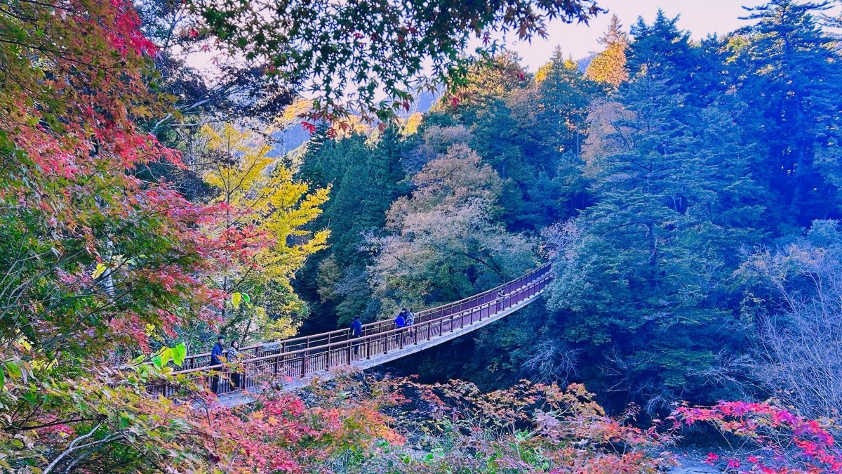 Akigawa Valley - Ishibune Suspension Bridge
