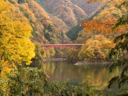 Koran Bridge on Lake Okutama in Autumn Season