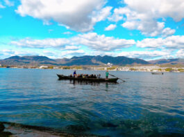 Miyajima Rokai Bune (Roaring Boat) - sightseeing boat that goes through torii gate of Itsukushima Shrine